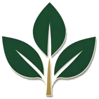 چینگدائو  چنگییکسین  الکترونیکی  فناوری  شرکت،  Ltd.